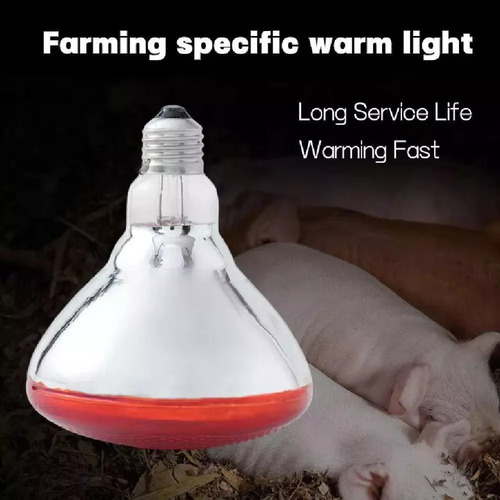 . Lámpara Infrarroja Con Bombilla De Calor Para Aves