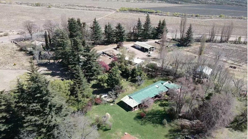 Imagen 25 de 30 de Campo En Venta En Tupungato De 30000 Has - Viñedos De Altura - Nogales - Desarrollo Inmobiliario