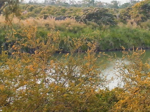 Venta Terreno 8224 M² Frente Al Estero Tuxpan Veracruz