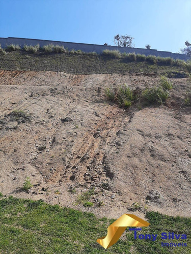 Imagem 15 de 15 de Terreno No Viverde I - 1499