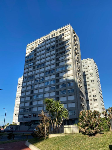 Imagen 13 de 14 de Alquilo Apartamento Punta Del Este - Parada 2 Playa Brava