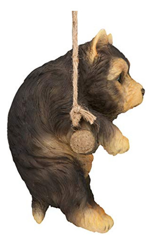~? Diseño Toscano Yorkie Cachorro En Una Percha Colgante Esc