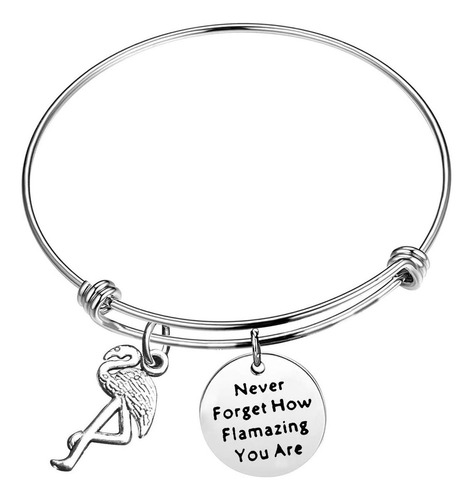 Xiahuyu Pulsera De Flamenco De Flamenco Never Forget