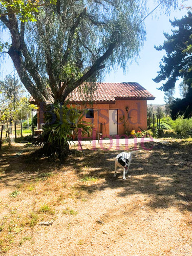 Terreno En Venta 6.550 M2 El Patagual, Villa Alemana