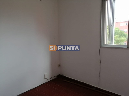 Imagen 13 de 17 de Departamento En Maldonado, Excelente Ubicación Para Vivir Todo El Año