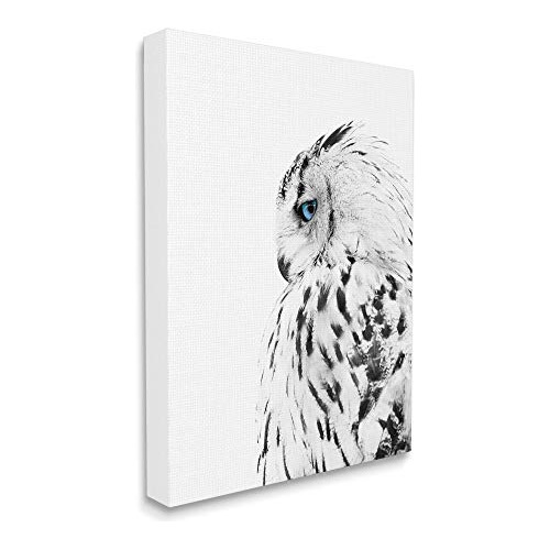 Snow Owl White Feathers Peering Blue Eyes, Diseñado Po...