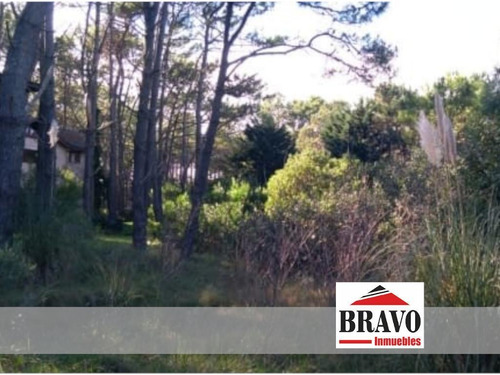 Imagen 2 de 3 de Lote A 200mt Del Mar En Excelente Ubicación-mar De Las Pampas | Cod.0419