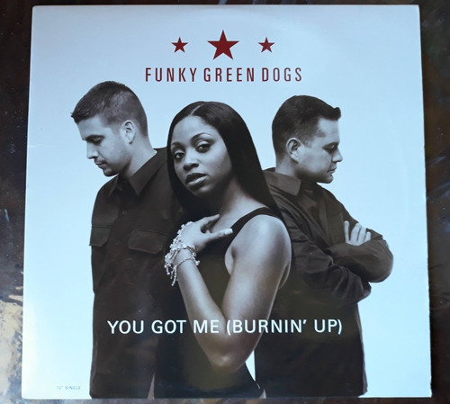 Vinil Funky Green Dogs You Got Me (burnin' Up) - Importado