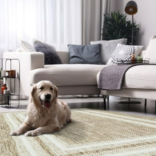Modern Rugs For Bedroom 4x6, Low-pile Non Slip Washable Rugs