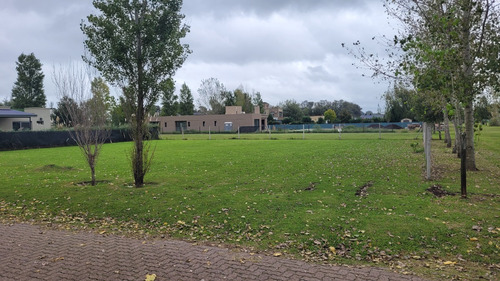 Terreno Con Escritura De 838 M2 Sobre Calle Principal En Barrio Lomas Depetion