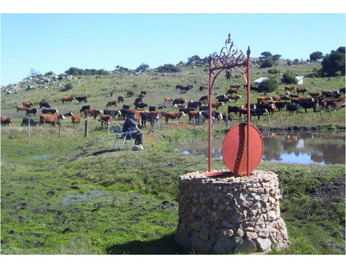 Imagen 6 de 21 de Campo En Uruguay, Aiguá, Ruta 13