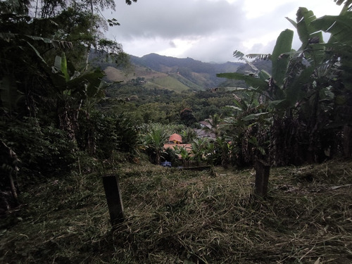 Lote São Romão A 5 Minutos Do Rio Macaé.22 988040087
