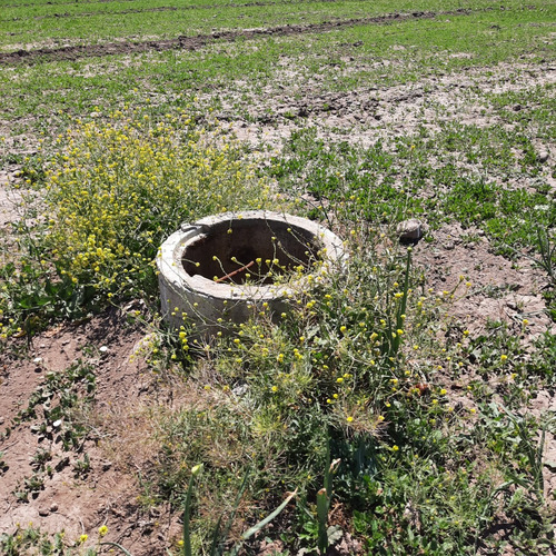 Rinconada De Maipu/autopista Del Sol 6 Hectareas