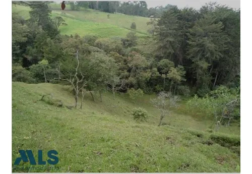 Finca Independiente En Rionegro - El Tablazo(mls#249941)