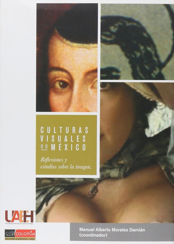 Culturas Visuales En Mexico: Reflexiones Y Estudios Sobre La Imagen, De Morales Damian Manuel Alberto. Editorial Colofon, Tapa Blanda, Edición 1 En Español, 2017