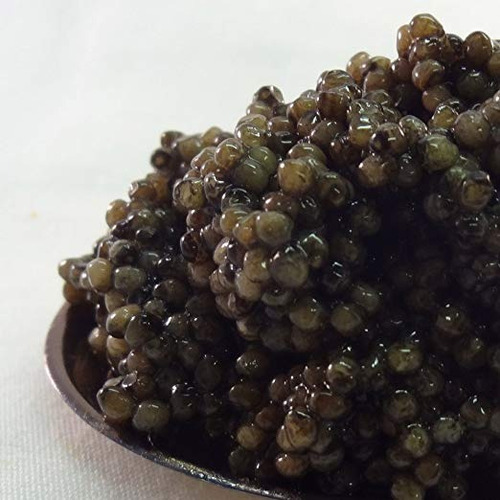 Rusia Ossetra Corona Piscifactoría Y Caviar, Tarro De 2 Onza
