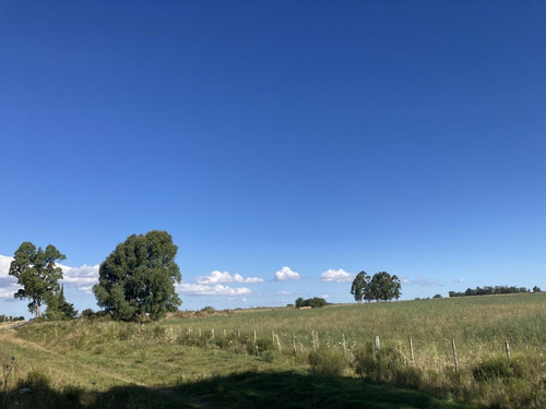 Imagen 9 de 14 de Chacra De 7 Hás Sobre Ruta 12 A 5 Km De Tala,