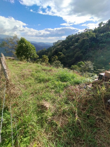 Lote En Venta En Los Naranjos. Cod V1093001