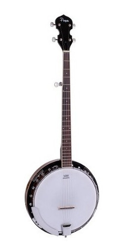 Banjo Profesional Parquer Master 5 Cuerdas Parche Remo