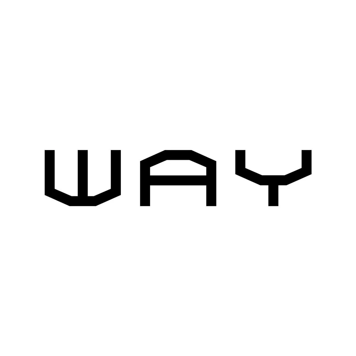 WAY BIKE