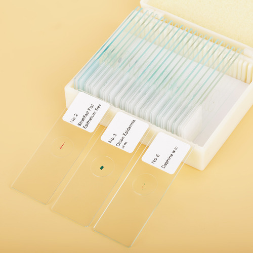 Conjunto De Diapositivas De Microscopio 25 Piezas Con