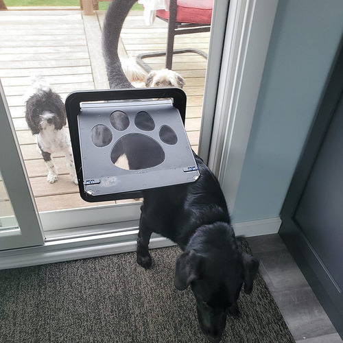 Puerta Mosquitera Con Cierre Automático Para Perros Medianos