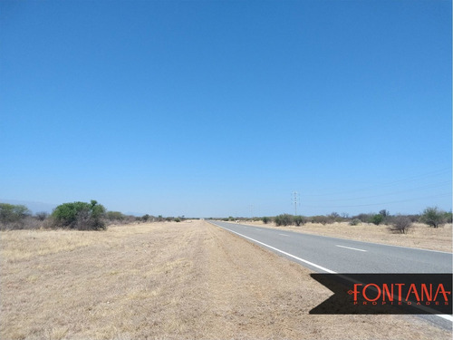 Imagen 6 de 10 de Campo En Venta En Nogolí