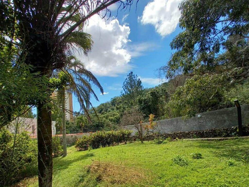 Imagen 2 de 8 de Desire Martinez Vende Casa En El Parral Calle Cerrada