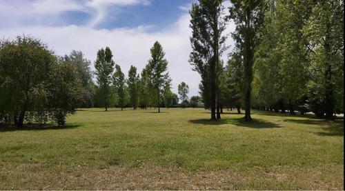 Imagen 9 de 13 de Venta Terreno La Federala Club De Campo Lobos
