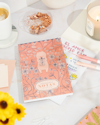 Imagen 10 de 10 de Set Planner Semanal, Shopping List, Notas Y Gastos
