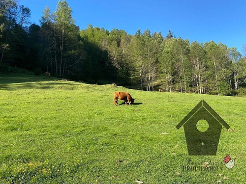 Parcela Con Casa E Instalaciones, 1 Hectarea