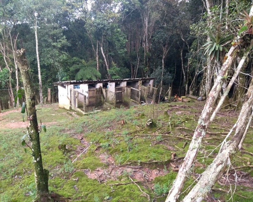 Chacara - Ch00091 - 32820412