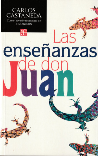 Las Enseñanzas De Don Juan. Carlos Castaneda