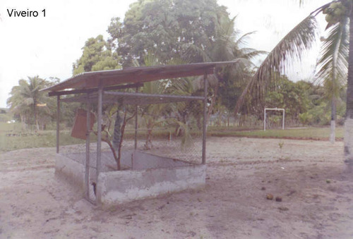 Imagem 11 de 14 de Vende-se Chácara No Centro De Alagoinhas