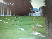 Comprar Gangazo Lote Doble Jardines Del Recuerdo Diez Mandamien