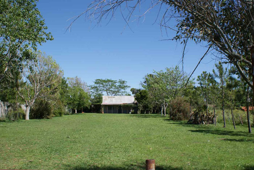 Lote Con Quincho En Venta, Los Talas, Berisso.