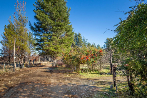 Imagen 3 de 26 de Se Vende 3.5 Hectáreas - Con Cabaña 79 M2 Quincho Galpón - Las Golondrinas - Lago Puelo Chubut