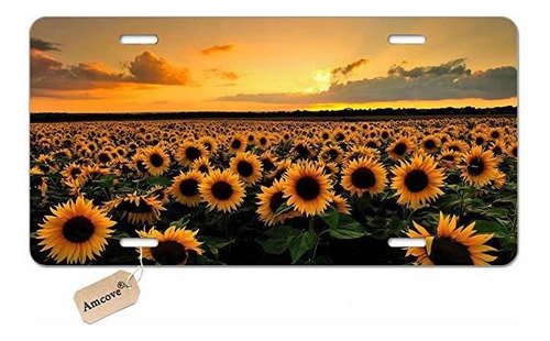 Amcove Girasoles Y Puestas De Sol De Placas De Aluminio Del 