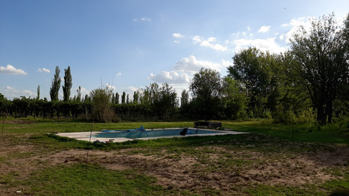 Finca De 11 Ha En General Alvear Mendoza