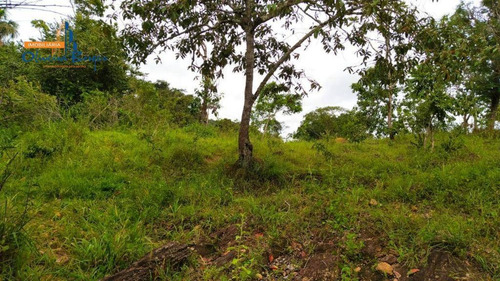 Chácara Com 1 Dormitório À Venda, 20000 M² Por R$ 170.000,00 - Zona Rural - Pirenópolis/go - Ch0076