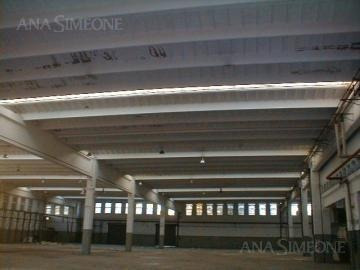 Imagen 2 de 5 de Nave Industrial - Indefinido
