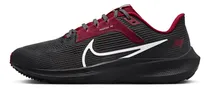 Comprar Zapatilla Nike Pegasus 40 (nfl Tampa Bay Dz5995-001  