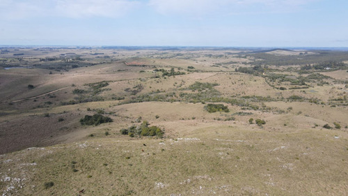 Campo En Rocha 78ha (ref: Atm-6768)