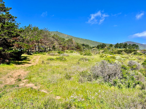 Terreno Plano En Venta En Primera Línea De Zapallar Norte