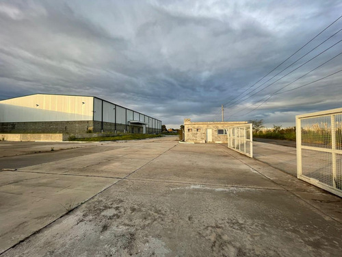 Imagen 8 de 30 de Fracción Industrial 26 Ha. Galpón 12.800 M² Cub. - Carlos Spegazzini