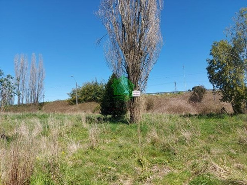Imagen 11 de 11 de Sitio En Venta En Puyehue