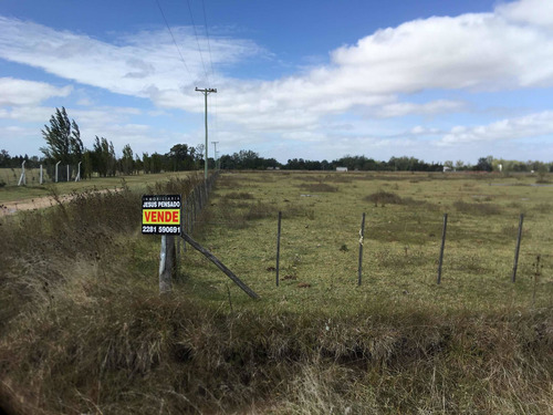 Tapalque: 1 Hectarea En Venta (frente Termas)