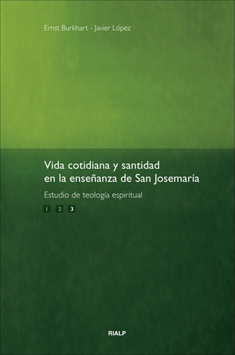 Vida Cotidiana Y Santidad En La Enseã¿anza De San Josemar...