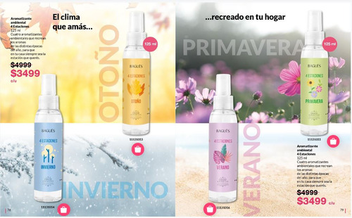 Aromatizante Ambiental Bagués 4 Estaciones Invierno 125ml