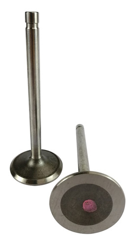 2 Valvulas Admision Motor Maq 300 (importada) 4.9 L 2000 015